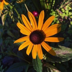 Meet your Posher, Ruth